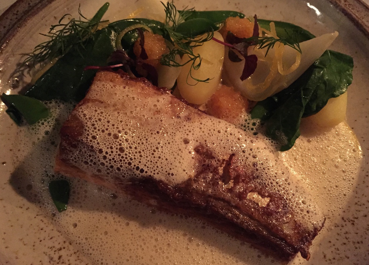 salmon